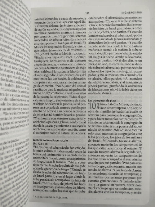 Biblia rvr 1960 letra grande tamaño manual tapa dura tela rosada con flores con imágenes de la tierra santa by Reina Valera 1960