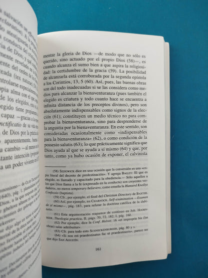 La Ética Protestante y El Espíritu del Capitalismo