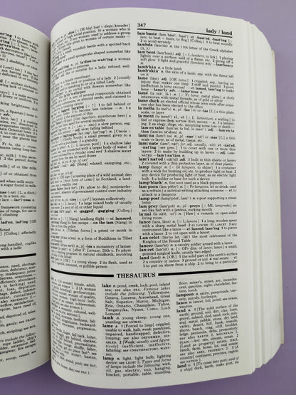 Webster's New World Dictionary and Thesaurus