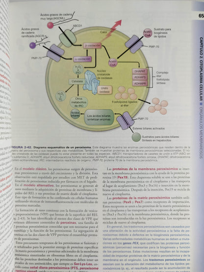 Histología texto y atlas 9 edición by Wojciech Pawlina