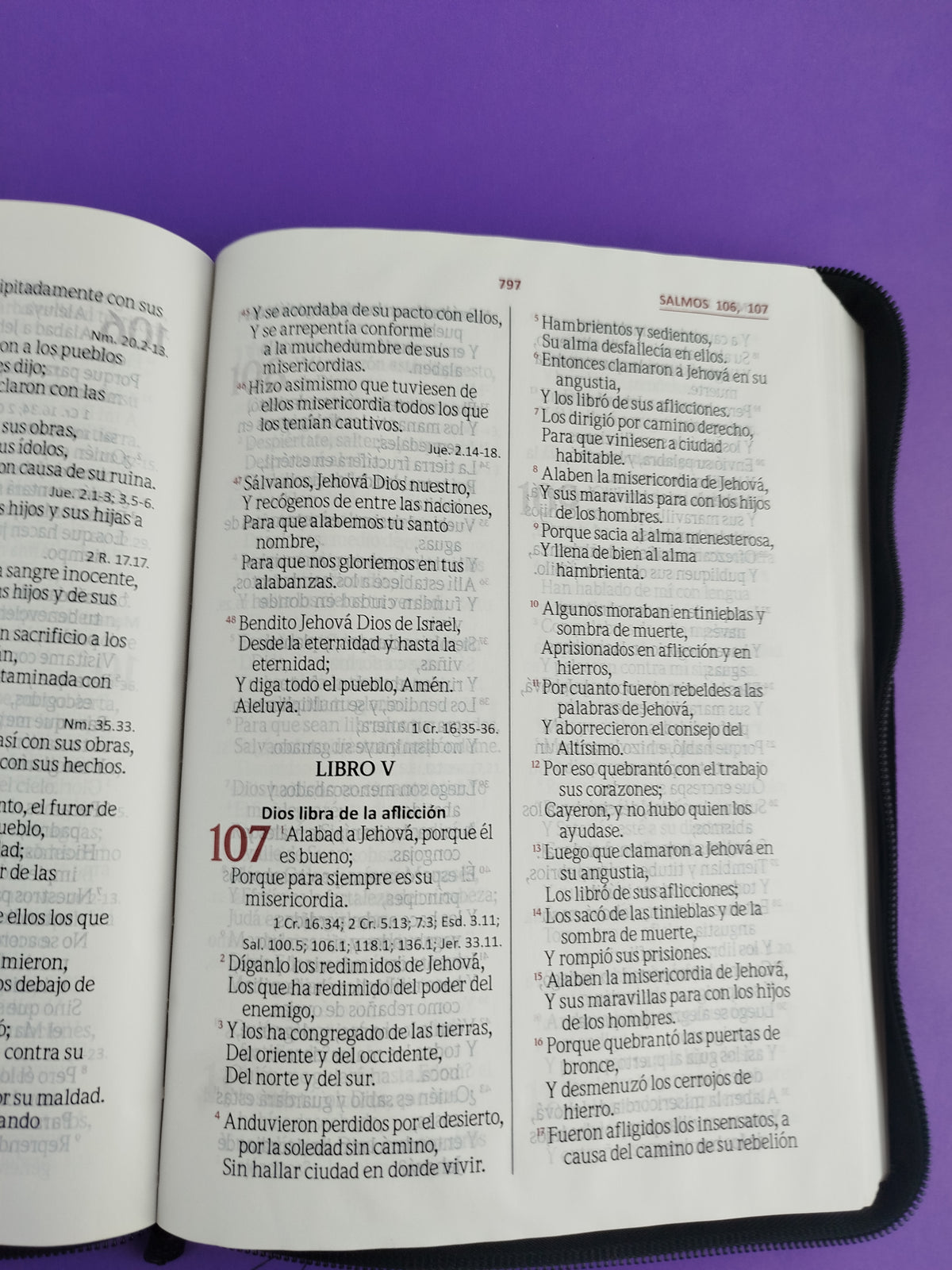 Biblia Letra Gigante Negra Gris Sin Indice by libreriatroya.com