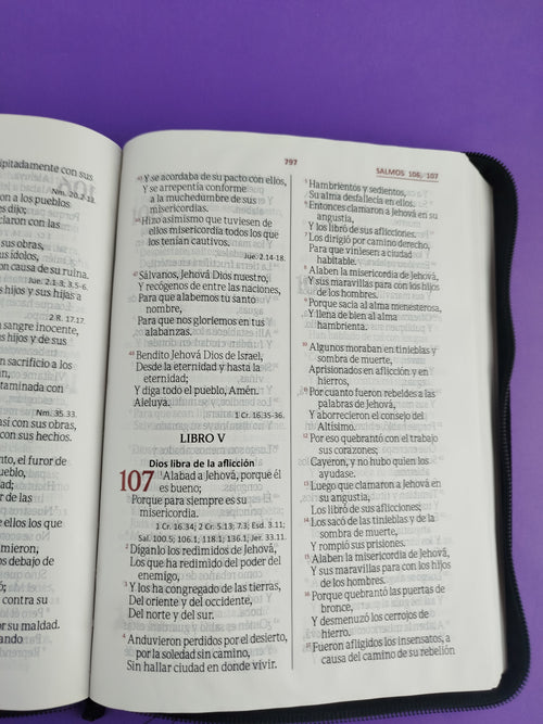 Biblia Letra Gigante Negra Gris Sin Indice by libreriatroya.com