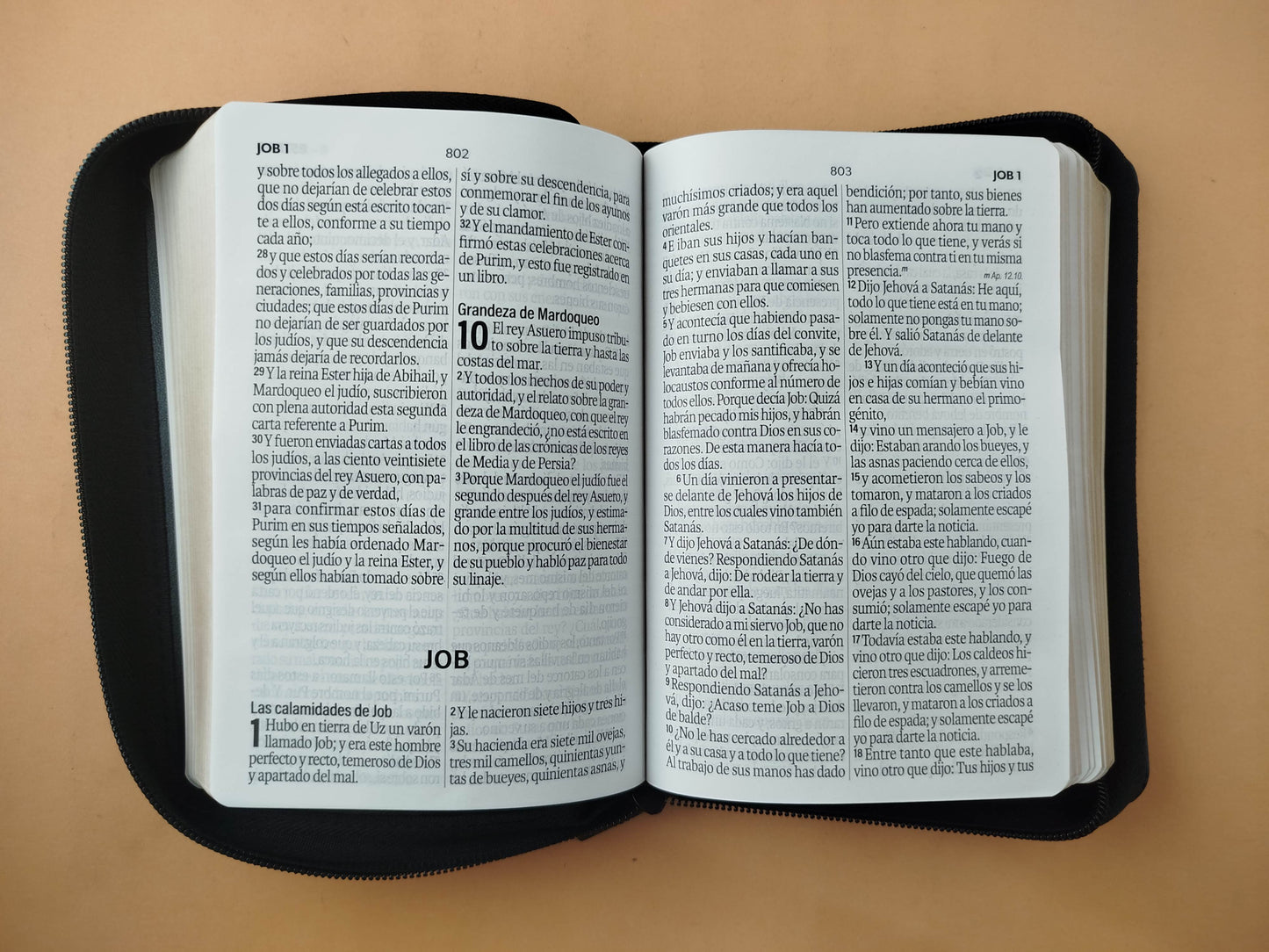 Biblia rvr 1960 negra letra grande con forro borde dorado by Reina Valera 1960