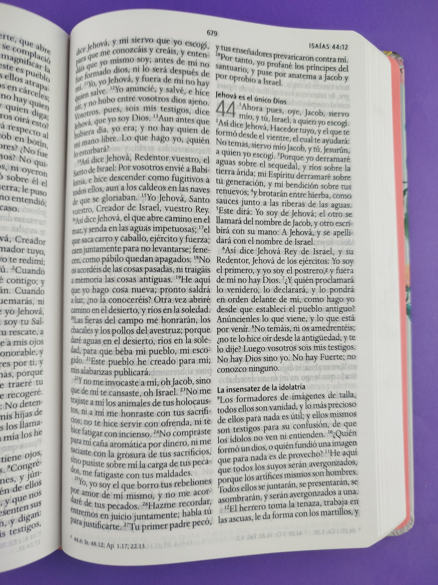 Biblia rvr 1960 nombres de Dios letra grande nude flores tapa dura