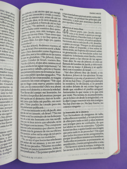 Biblia rvr 1960 nombres de Dios letra grande nude flores tapa dura