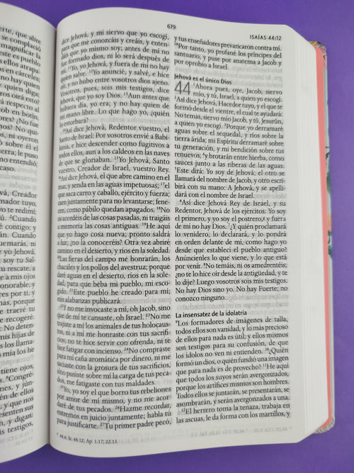 Biblia rvr 1960 nombres de Dios letra grande nude flores tapa dura by Reina Valera 1960
