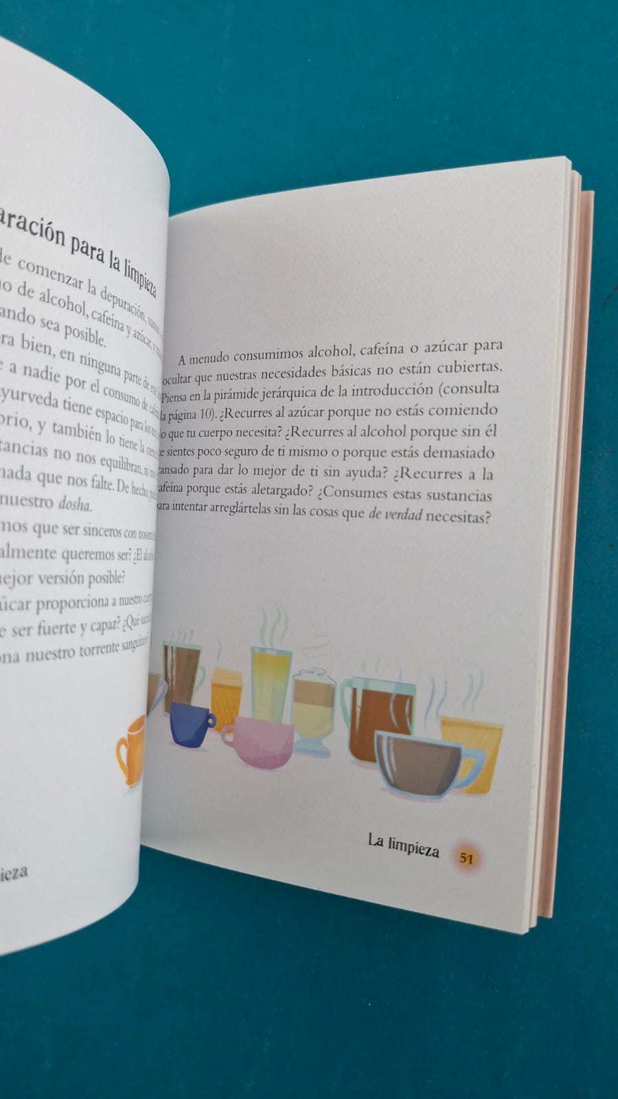 El pequeño libro del Ayurveda
