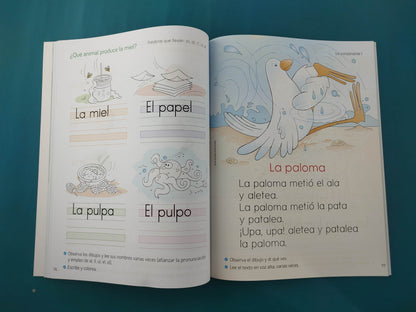 Trazos y saberes B script Desarrollo psicomotriz Lectoescritura inicial