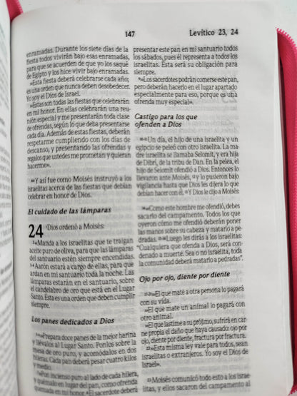 Biblia traducción al lenguaje actual fucsia canto plateado by Varios