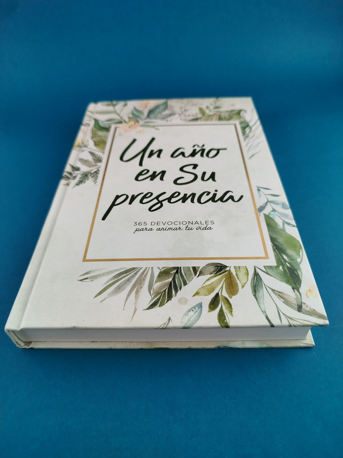 Un año en su presencia by Varios