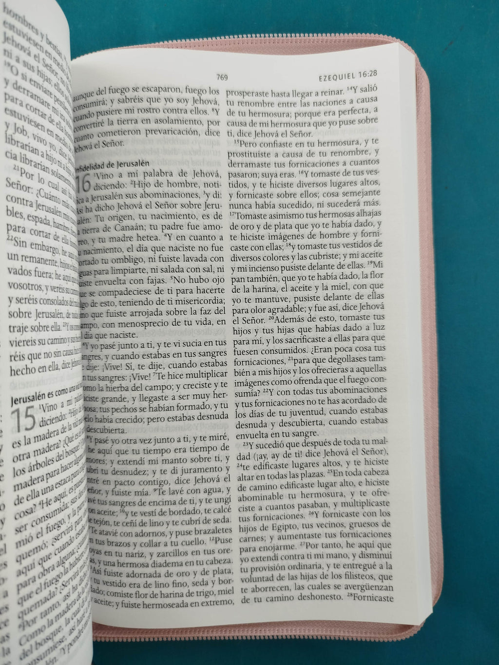 Biblia RVR 1960 Letra Grande Estuche Palo Rosada by Reina Valera 1960