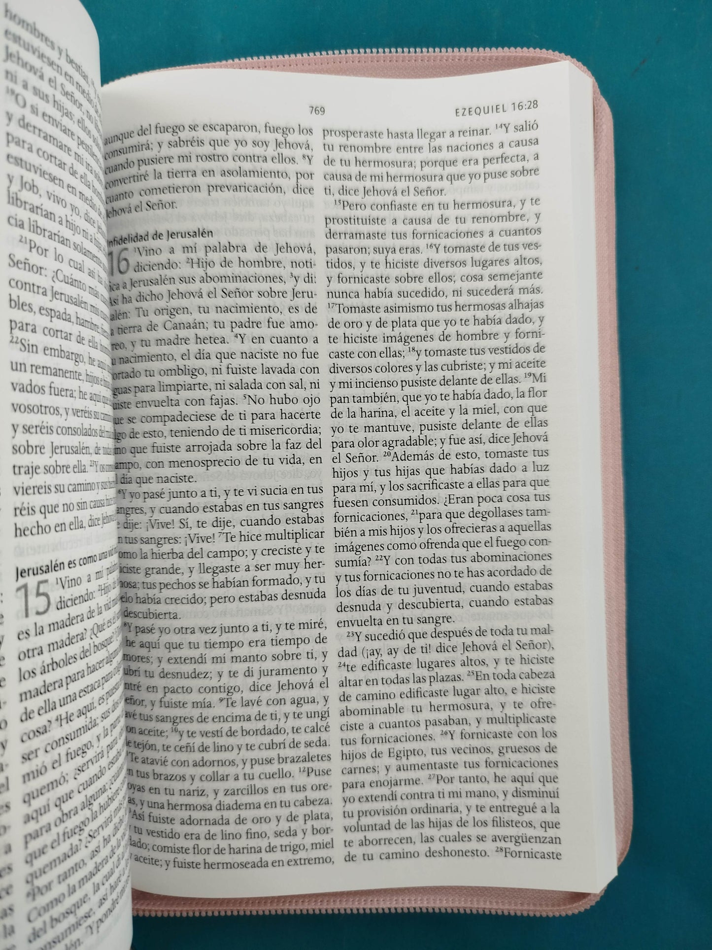 Biblia RVR 1960 Letra Grande Estuche Palo Rosada
