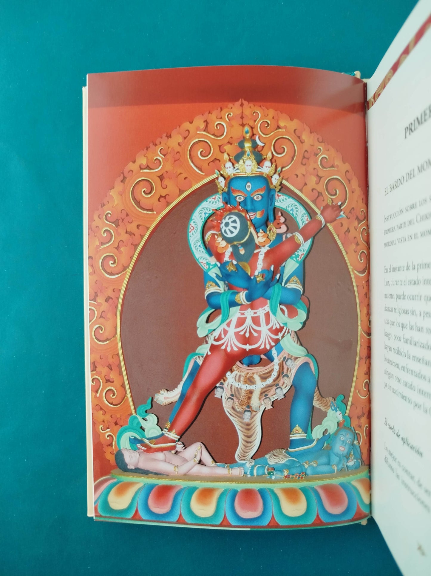 El Libro Tibetano de los Muertos