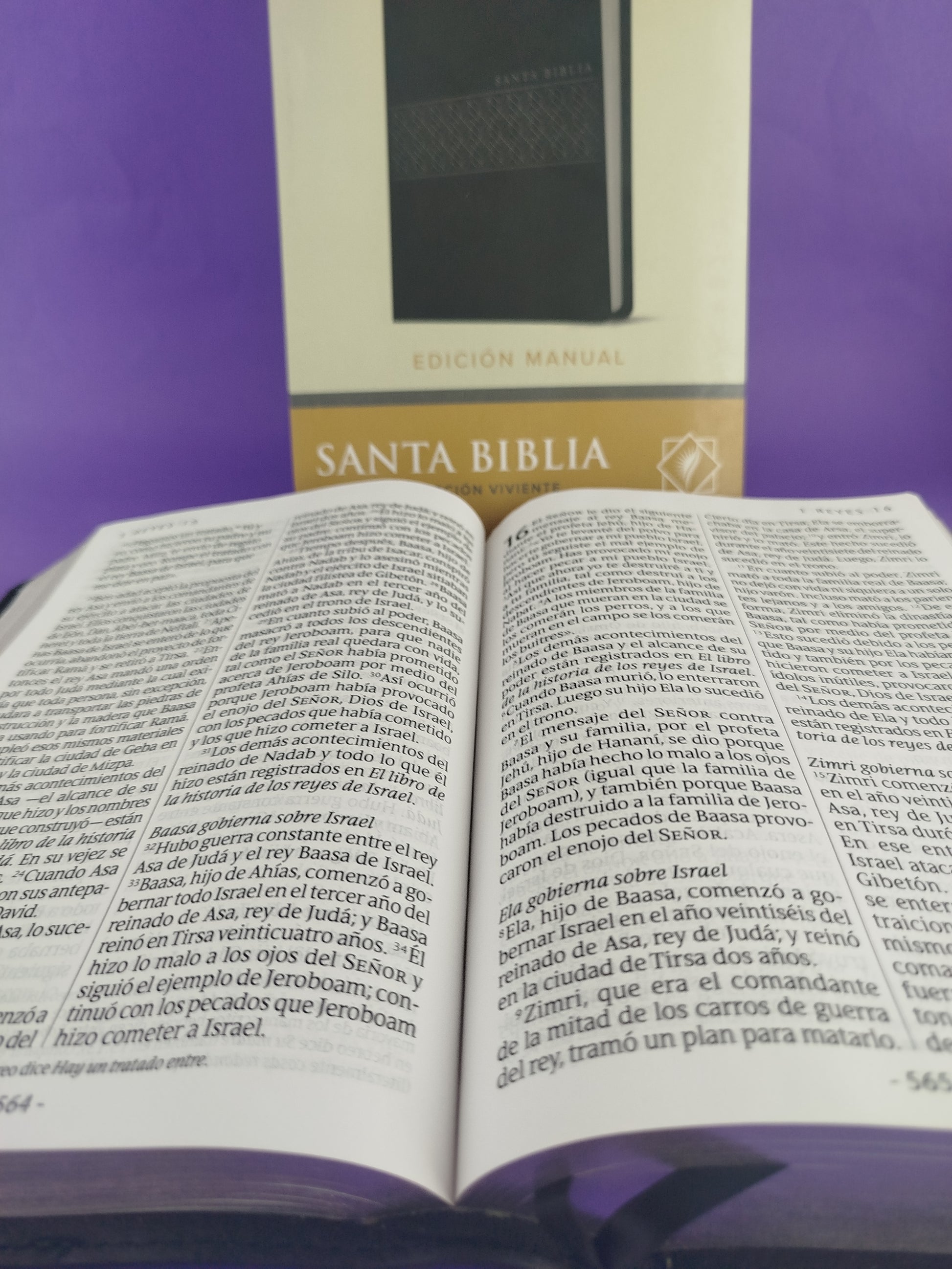 Biblia ntv letra gigante edición manual sentipiel negra by Nueva Traducción Viviente
