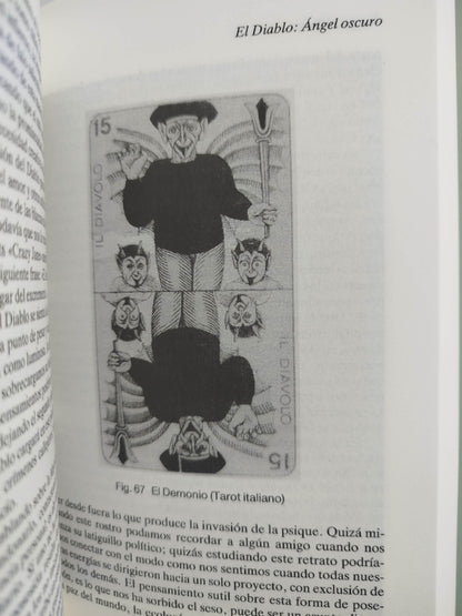 Jung y el tarot un viaje arquetípico by Sallie Nichols