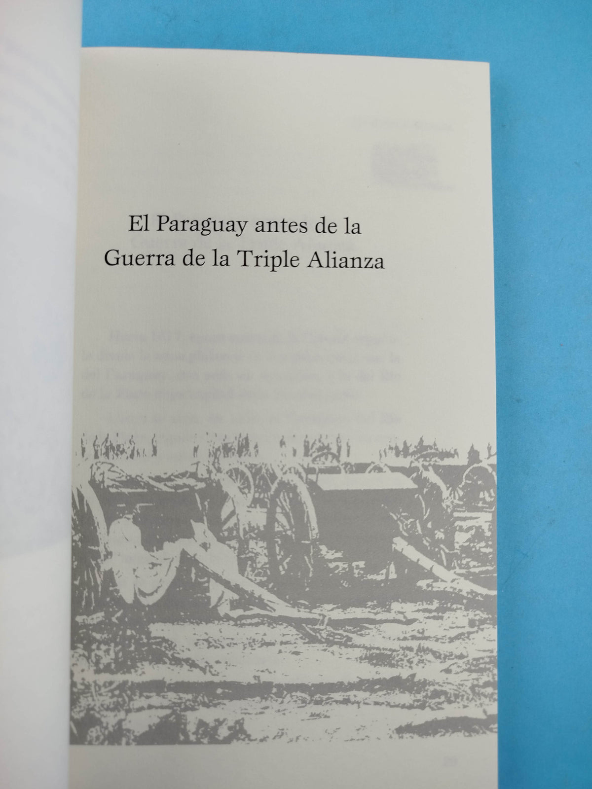 La triple alianza: la guerra contra el Paraguay en imágenes by Mercedes Vigil y Raúl Vallarino