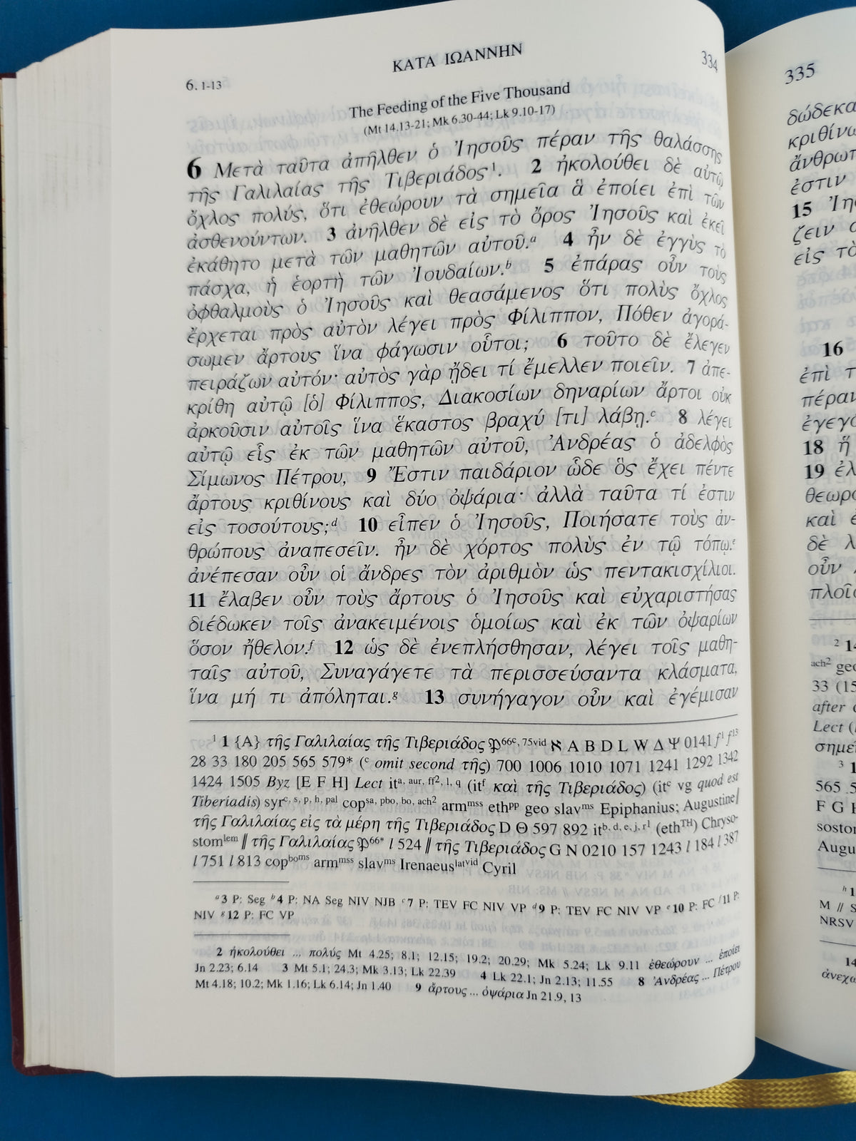 Nuevo testamento en griego diccionario the greek new testament by Sociedades Bíblicas Unidas