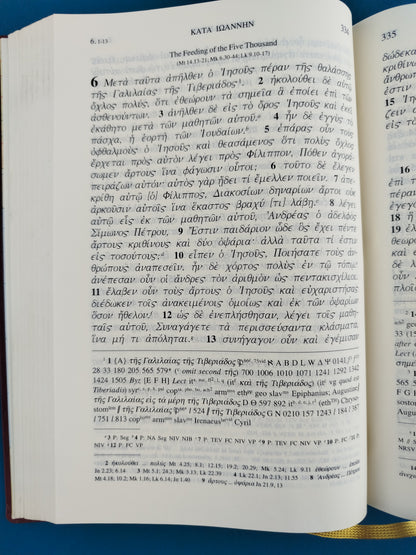 Nuevo testamento en griego diccionario the greek new testament