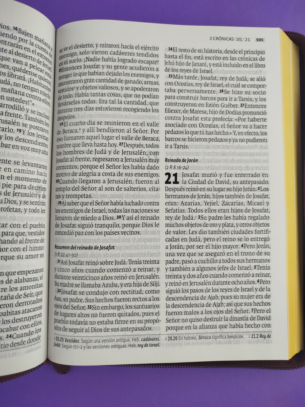Biblia Dios Habla Hoy Letra Gigante Vinotinto by Varios