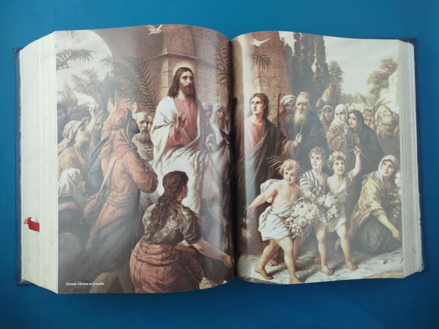 La Sagrada Biblia De La Paz