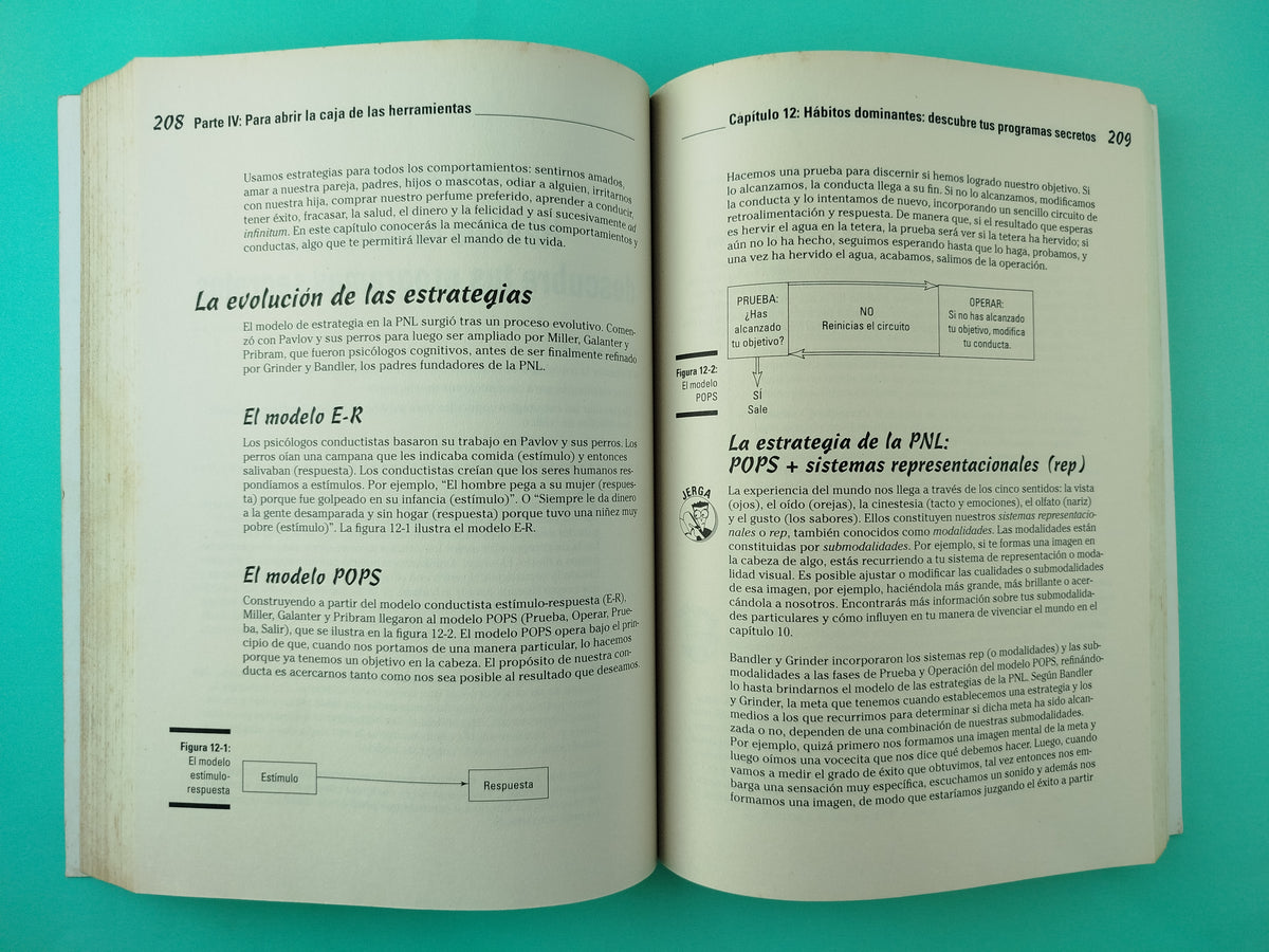 PNL para Dummies by Romilla Ready