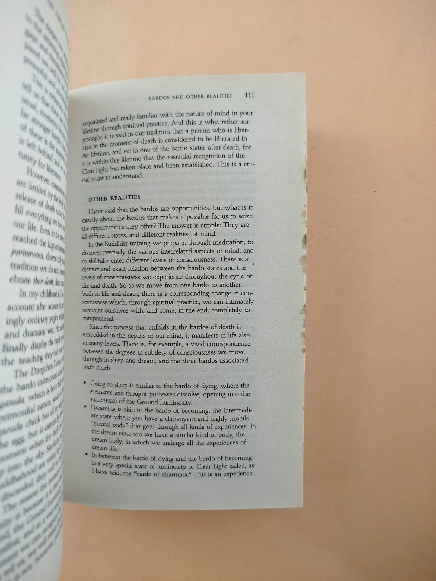 The Tibetan Book of Living and Dying