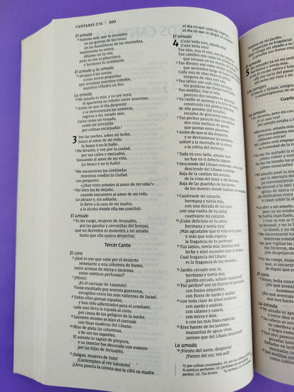 Biblia nvi misionera