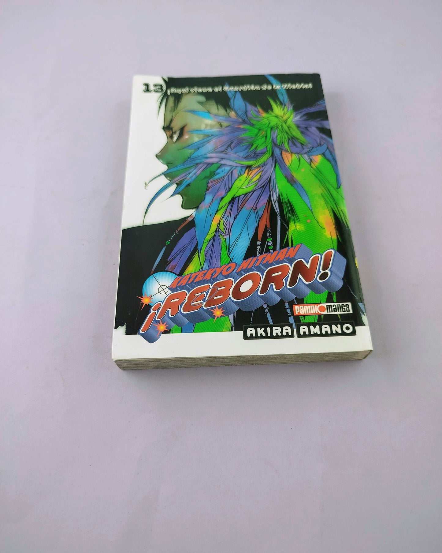 Katekyo hitman reborn N.13