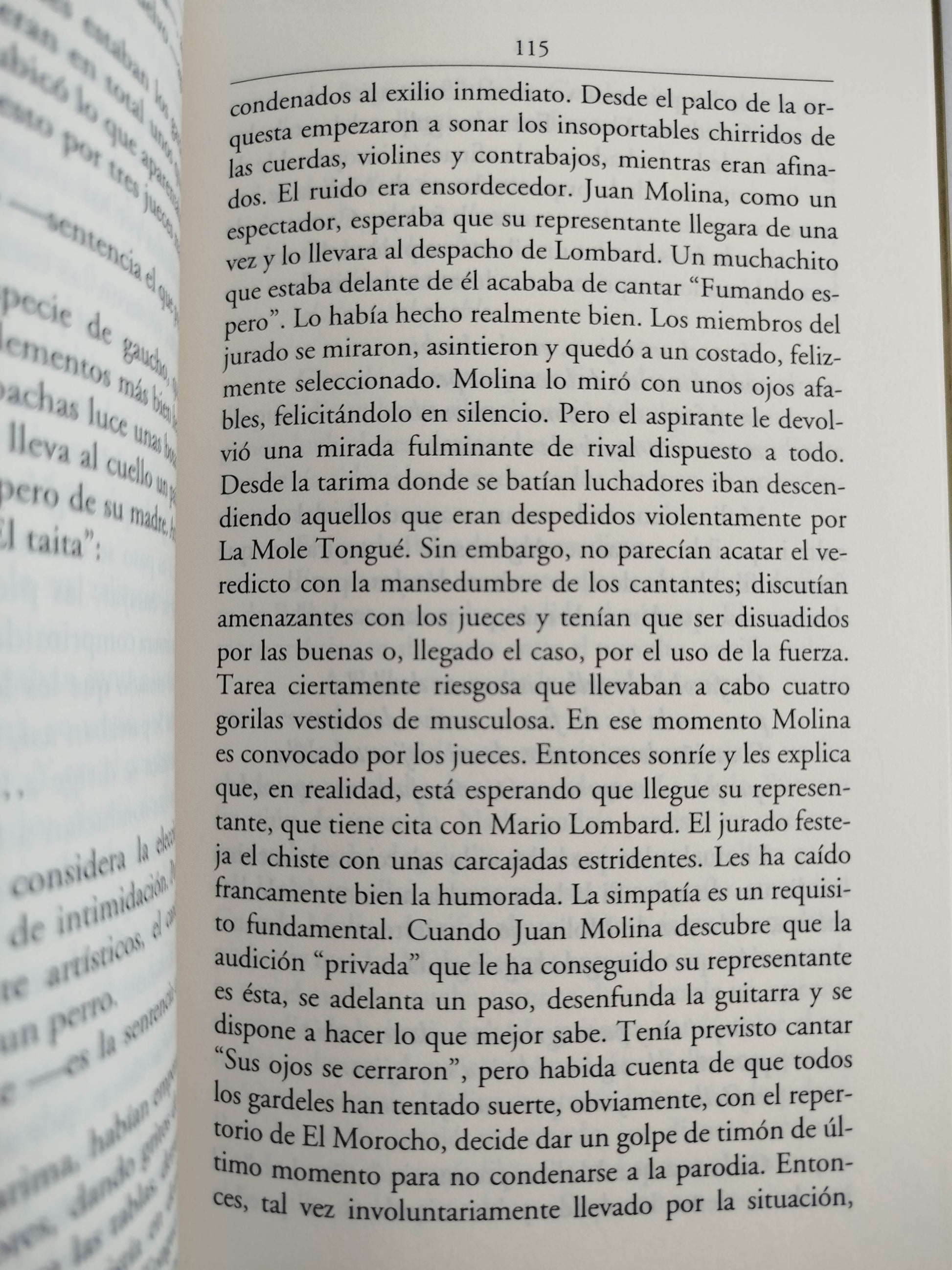 Errante en la sombra by Federico Andahazi