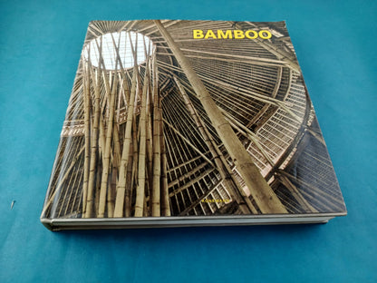 Bamboo
