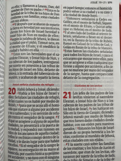 Biblia RVR 1960 rosada, canto plateado letra grande by Reina Valera 1960