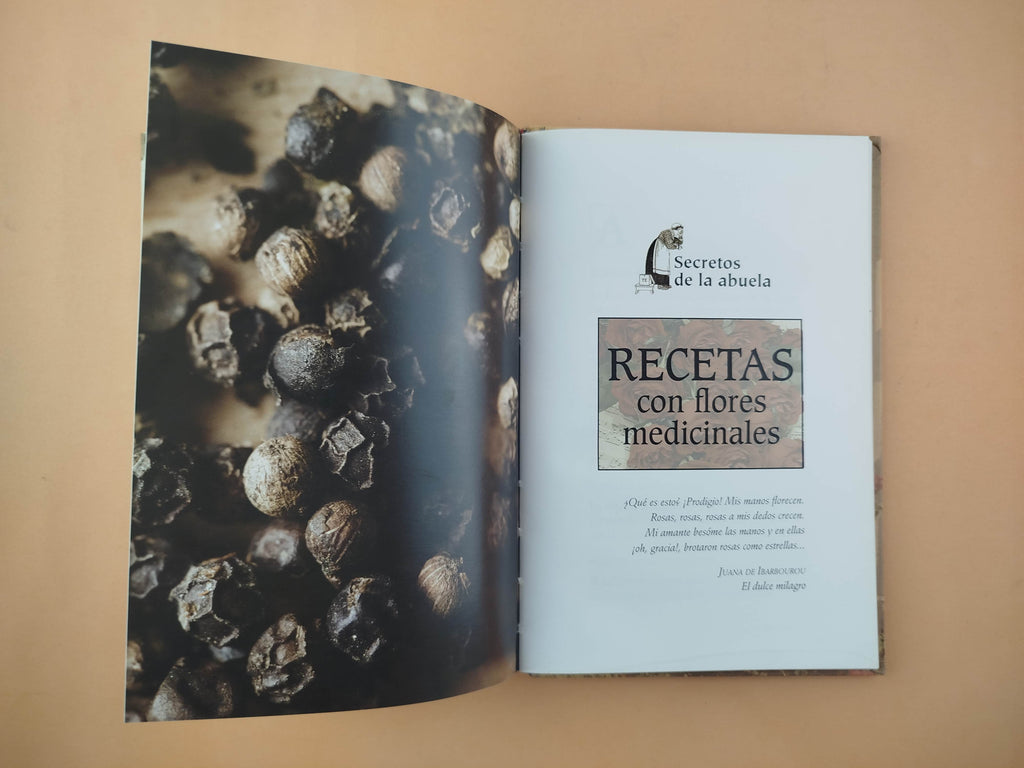 Remedios Y Formulas Caseras by Louise Gruenberg