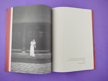 Principio de Karenina