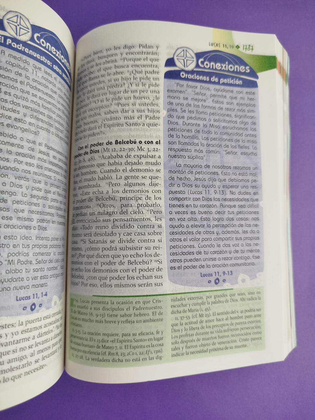 Biblia didáctica para jóvenes Rustica by Varios