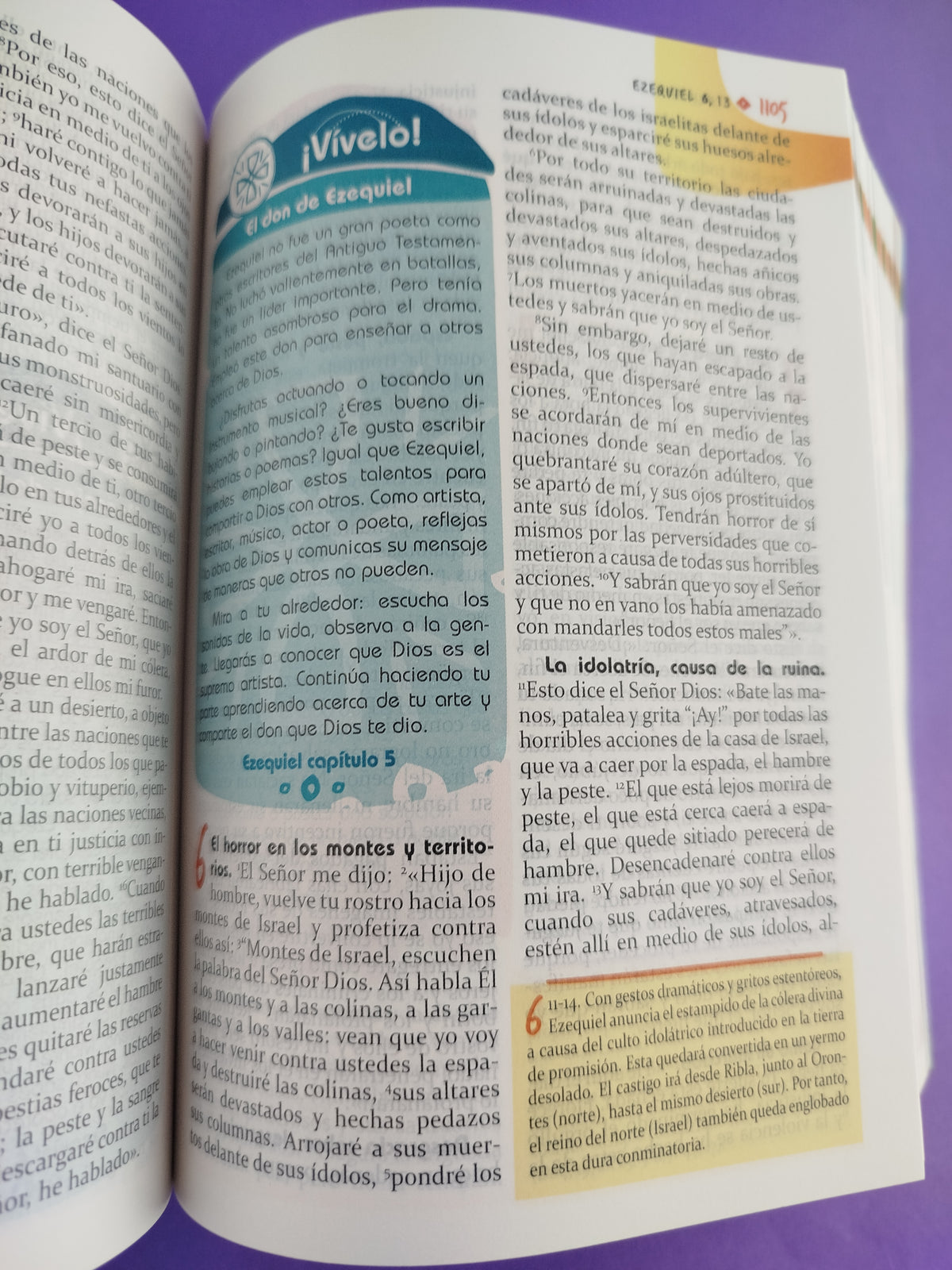Biblia didáctica para jóvenes Rustica by Varios