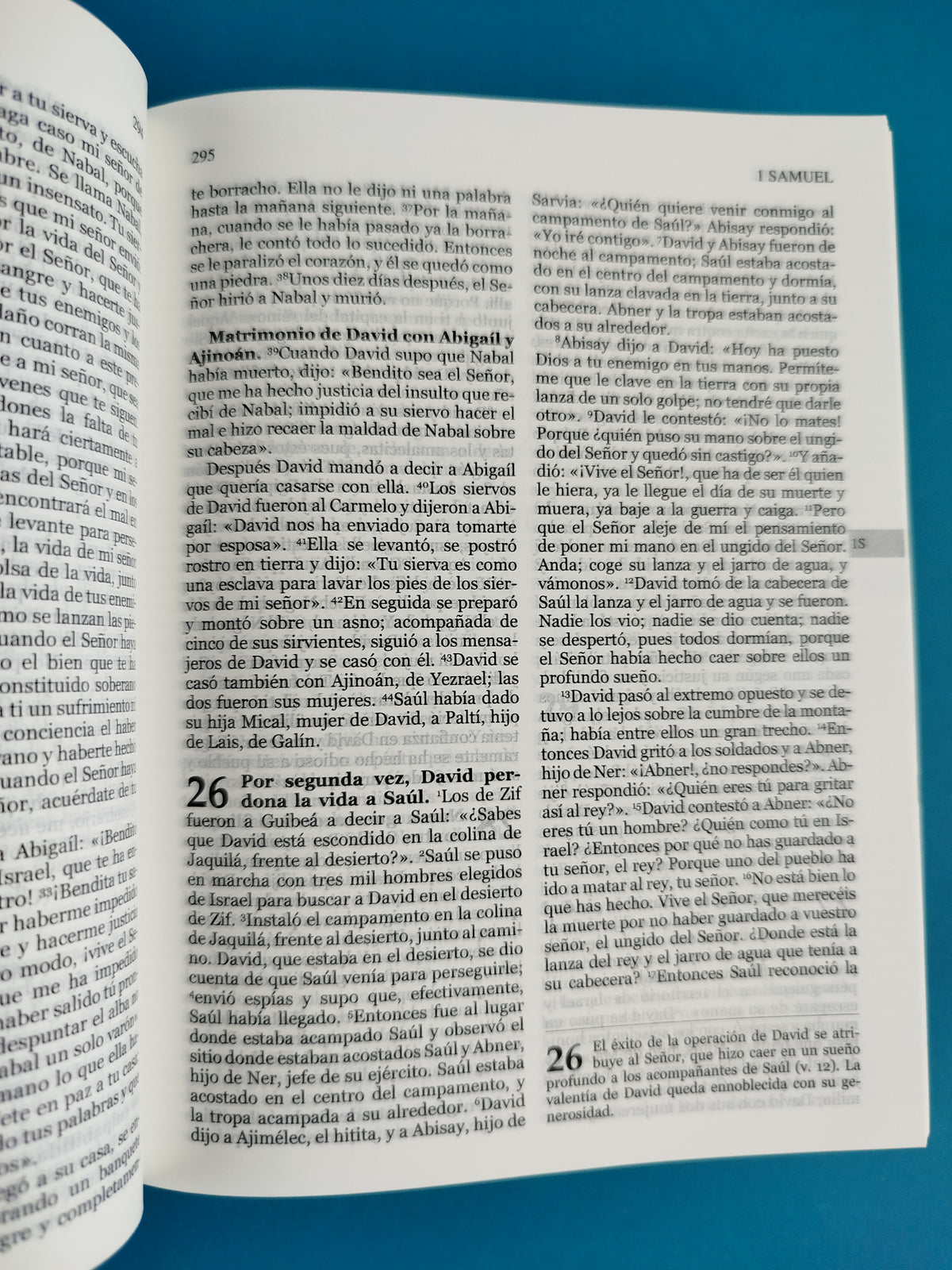 Biblia hormiguitas pasta dura una historia de amor by San Pablo