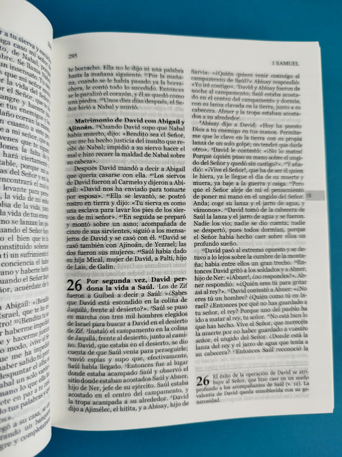 Biblia hormiguitas pasta dura una historia de amor by San Pablo