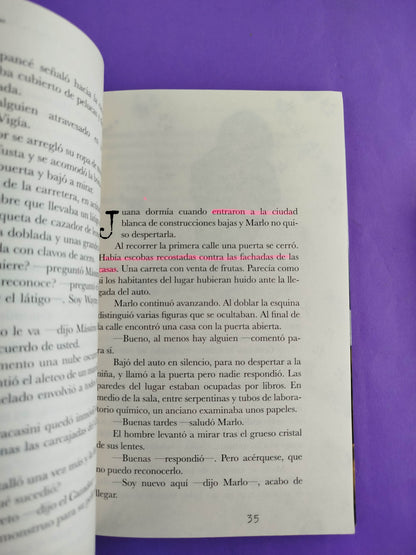 En la ciudad de los monstruos perdidos by Roberto Rubiano Vargas