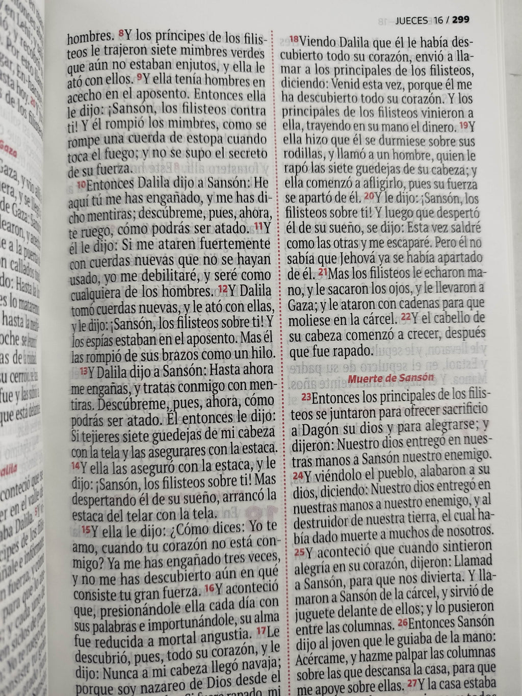 Biblia RVR 1960 letra grande verde - rosado by Reina Valera 1960