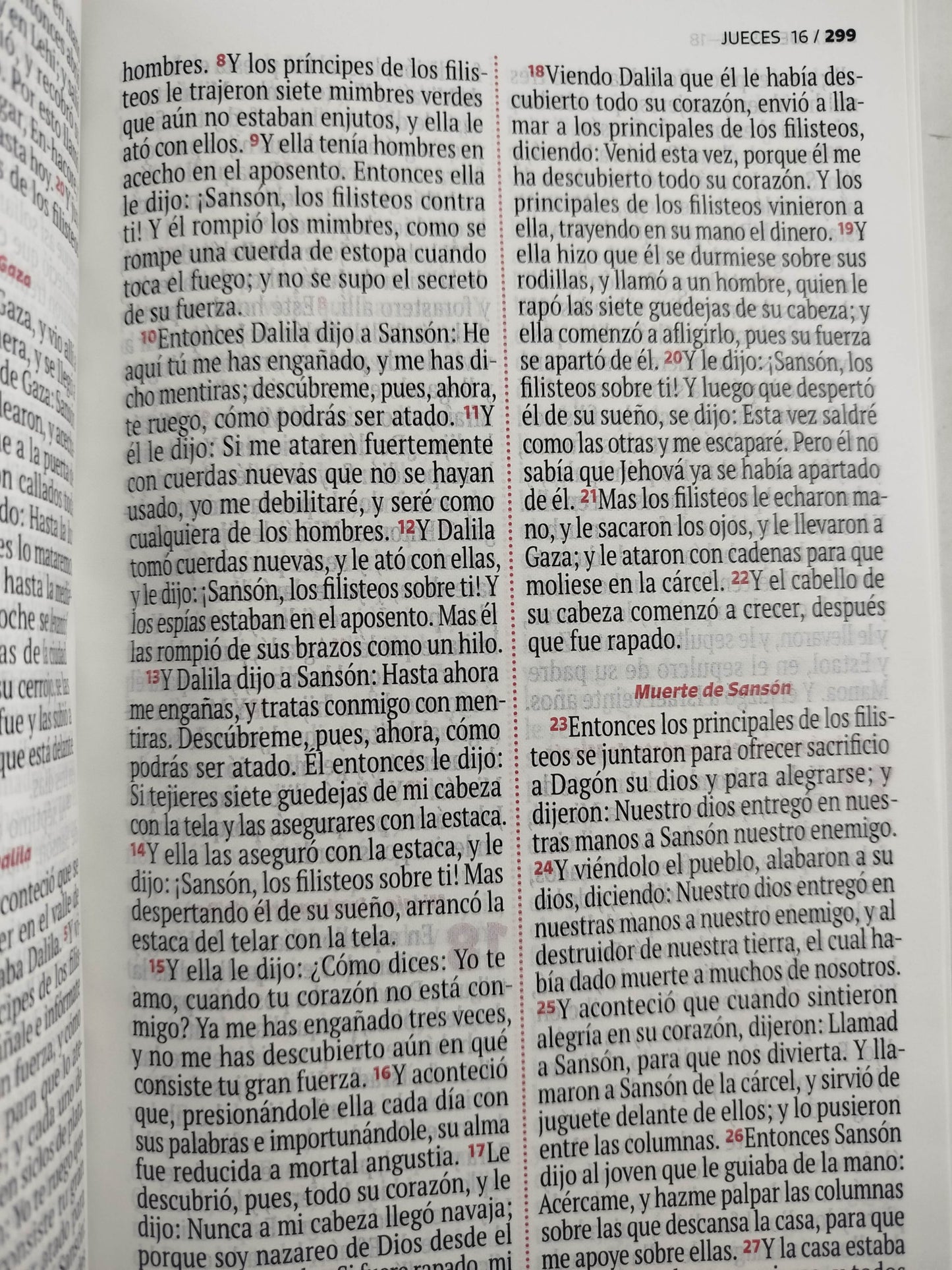 Biblia RVR 1960 letra grande verde - rosado by Reina Valera 1960