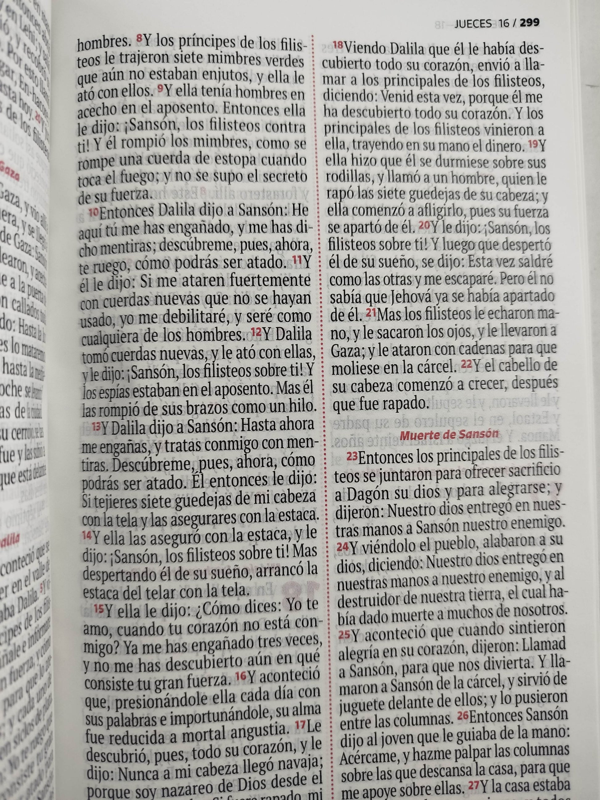 Biblia RVR 1960 letra grande verde - rosado by Reina Valera 1960