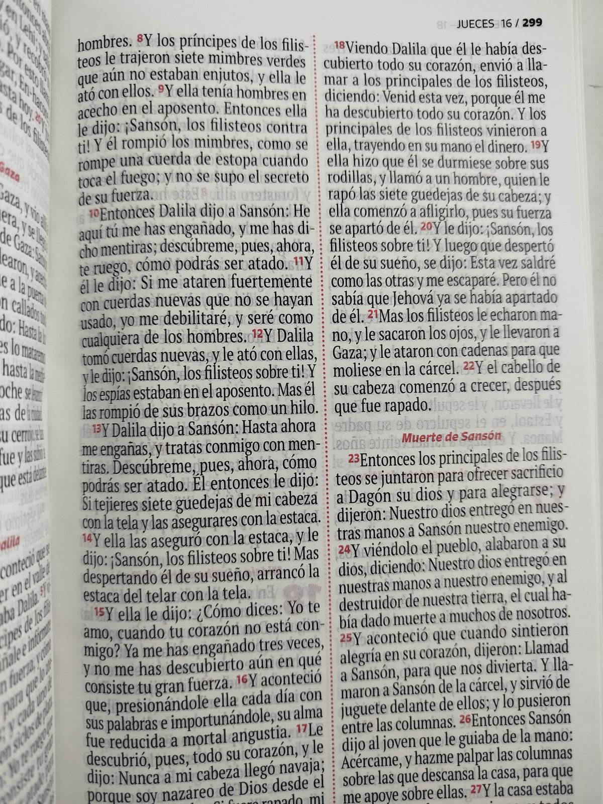 Biblia RVR 1960 letra grande verde - rosado by Reina Valera 1960