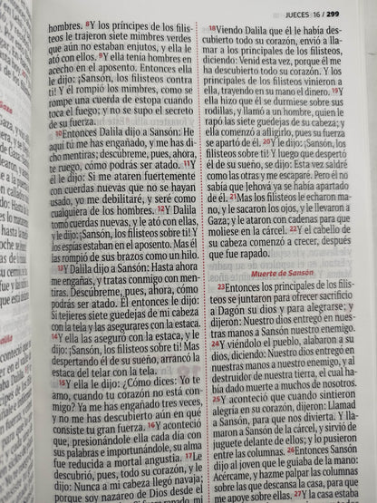 Biblia RVR 1960 letra grande verde - rosado by Reina Valera 1960