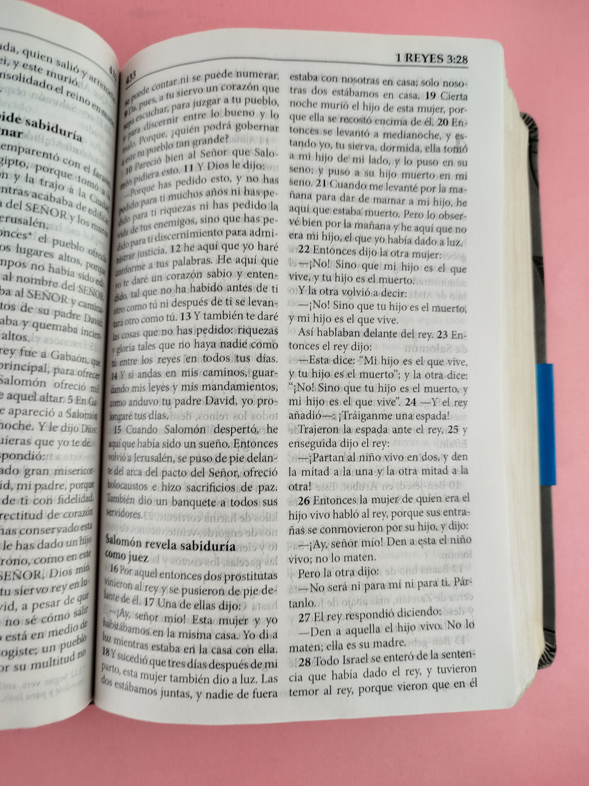 Biblia 2015 letra grande gris by Reina Valera actualizada 2015