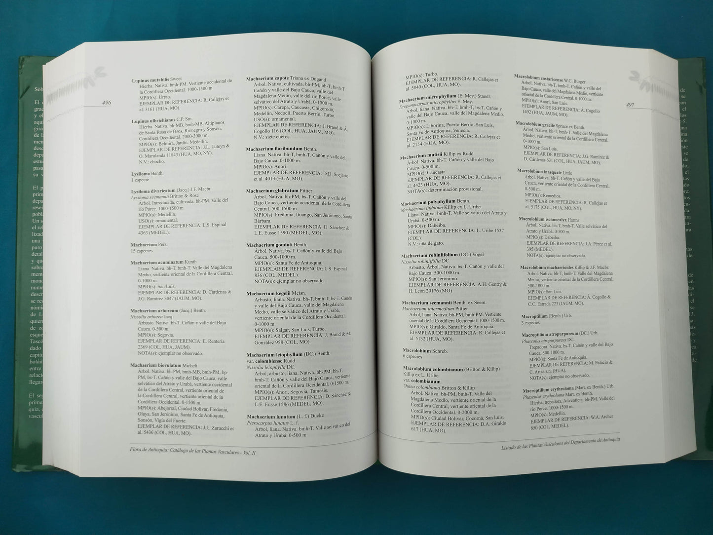Flora de Antioquia : catálogo de las plantas vasculares