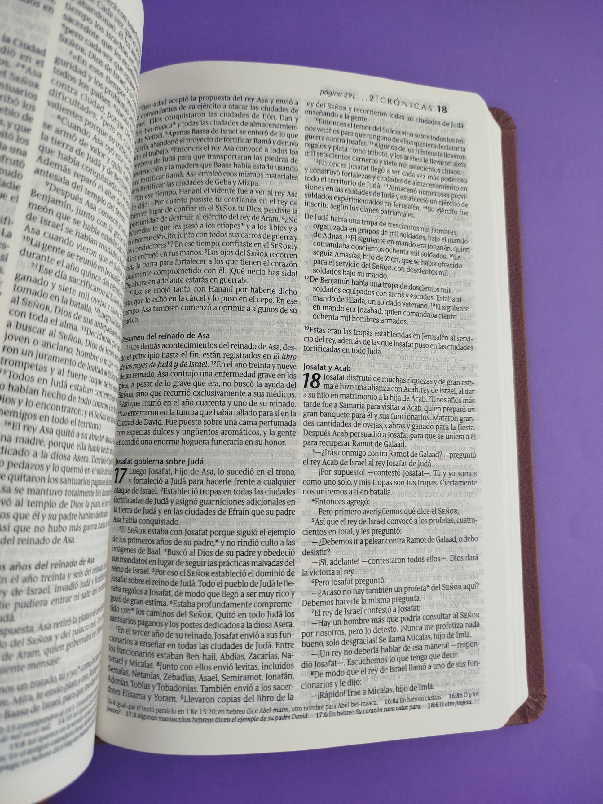 Biblia ntv ágape sentipiel café by Nueva Traducción Viviente