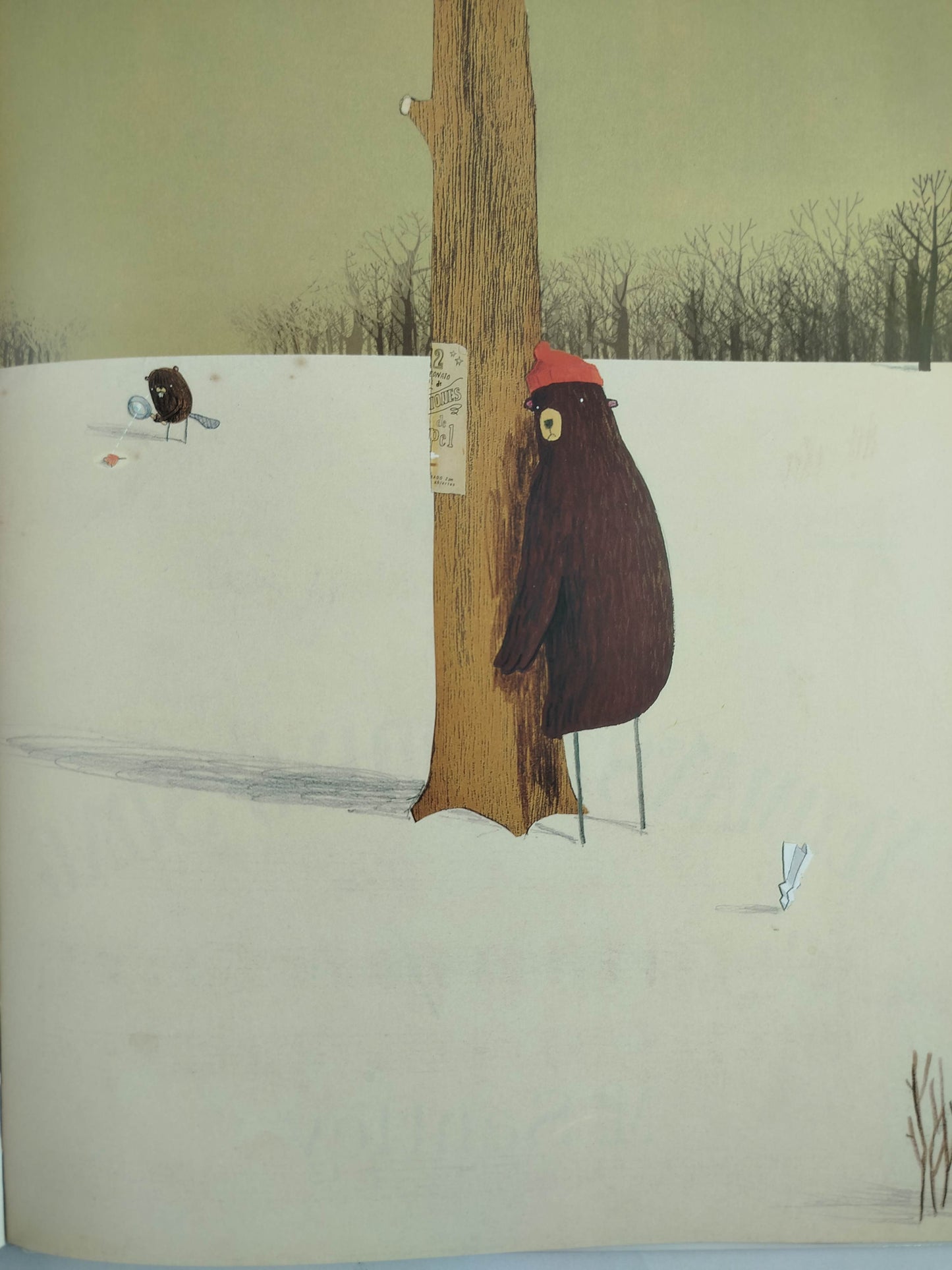 El misterioso caso del oso by Oliver Jeffers