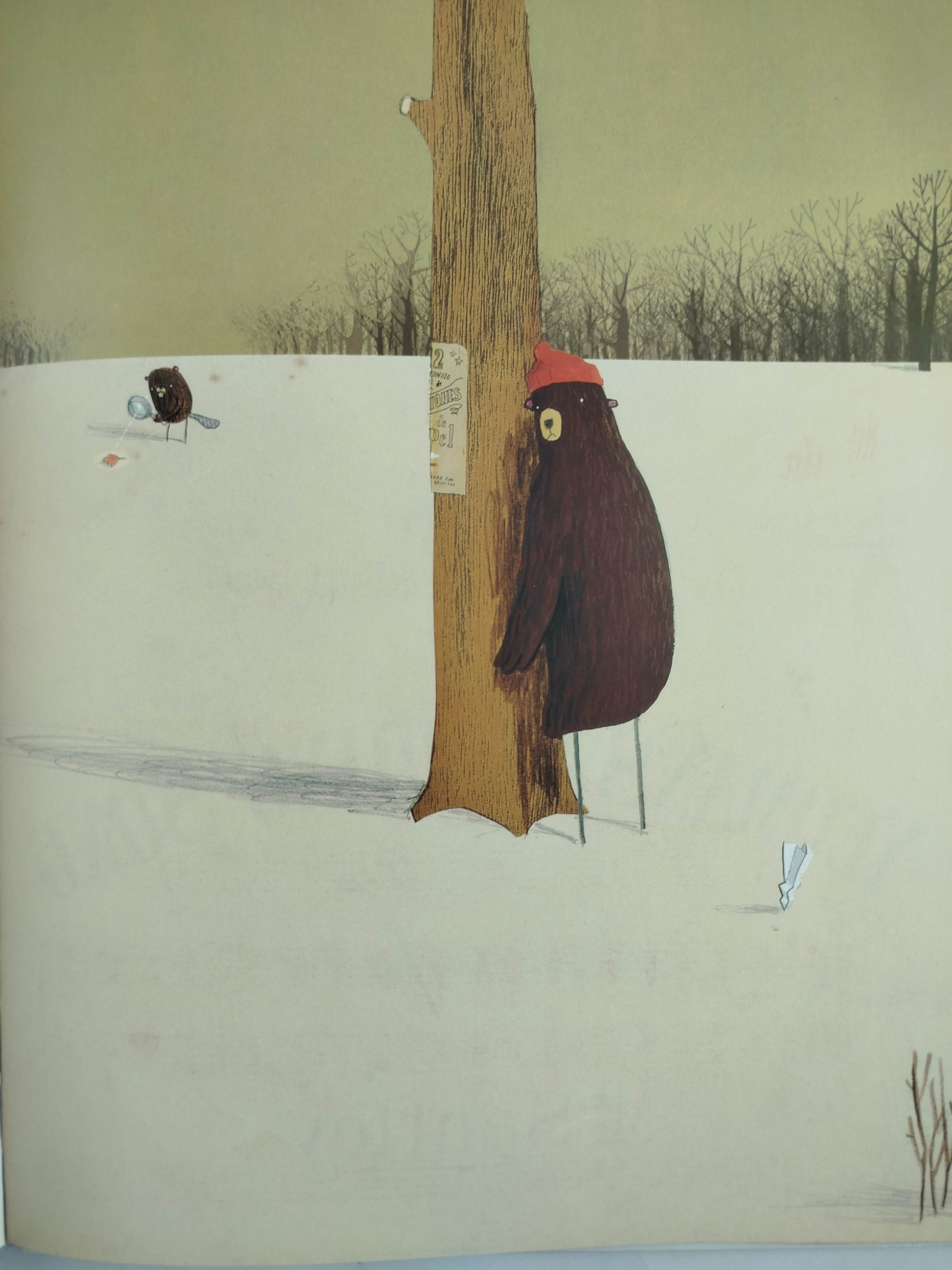 El misterioso caso del oso by Oliver Jeffers