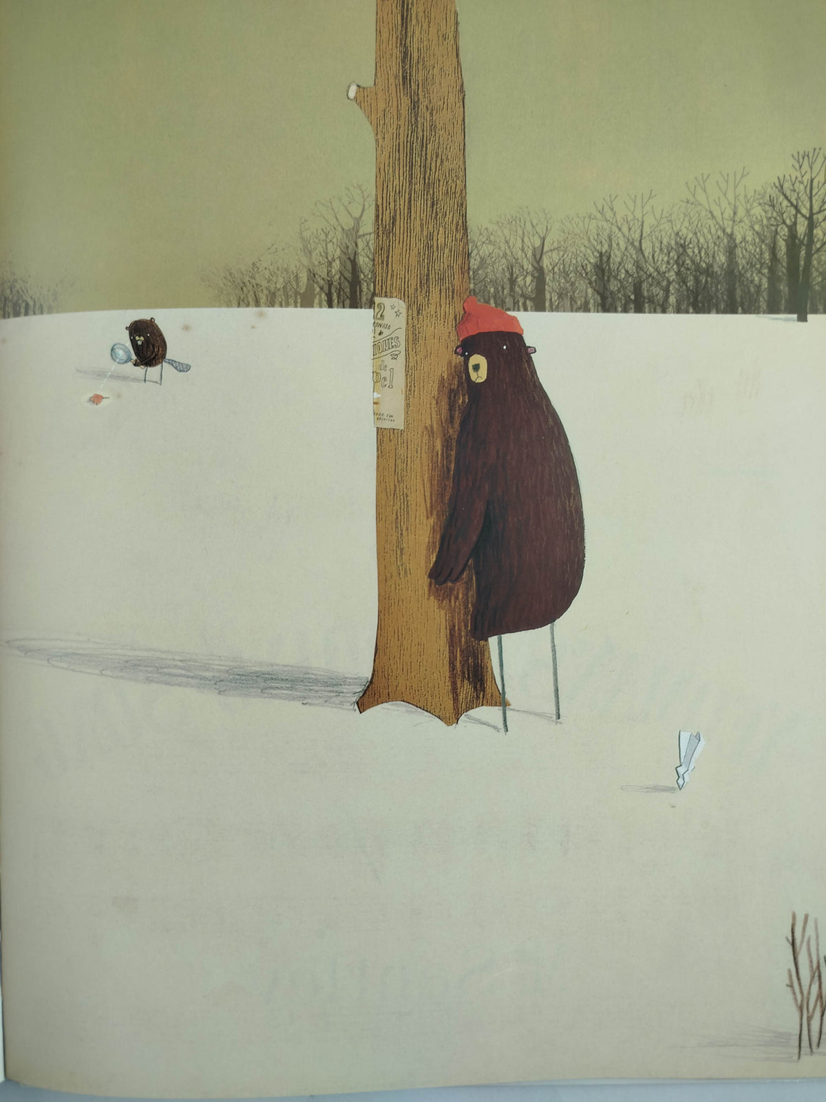 El misterioso caso del oso by Oliver Jeffers
