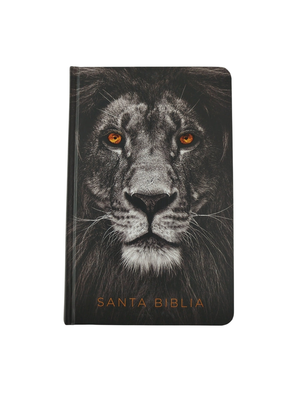 Biblia rvr 1960 letra grande tamaño manual tapa dura león de judá con imágenes de la tierra santa by Reina Valera 1960